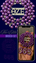 Load image into Gallery viewer, The Elite Brooch Set